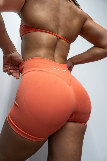GluteHub Core Set